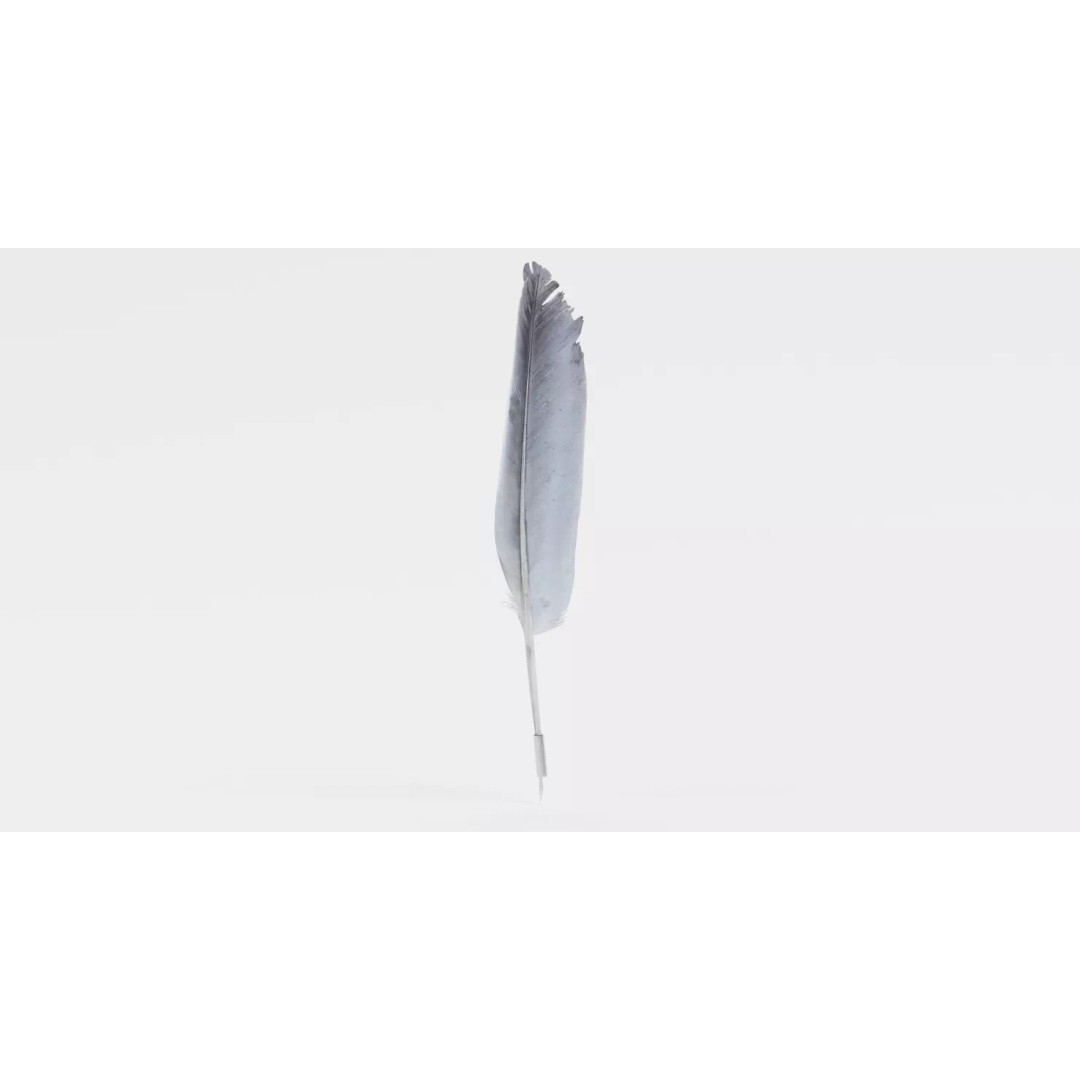Quill 3D Model – Realistic Feather Ink Pen with PBR Textures - View 2
