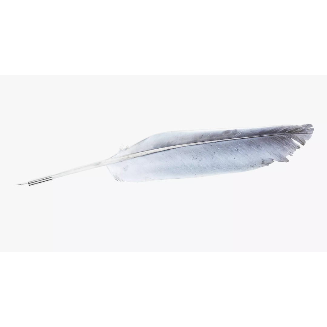Quill 3D Model – Realistic Feather Ink Pen with PBR Textures - View 3