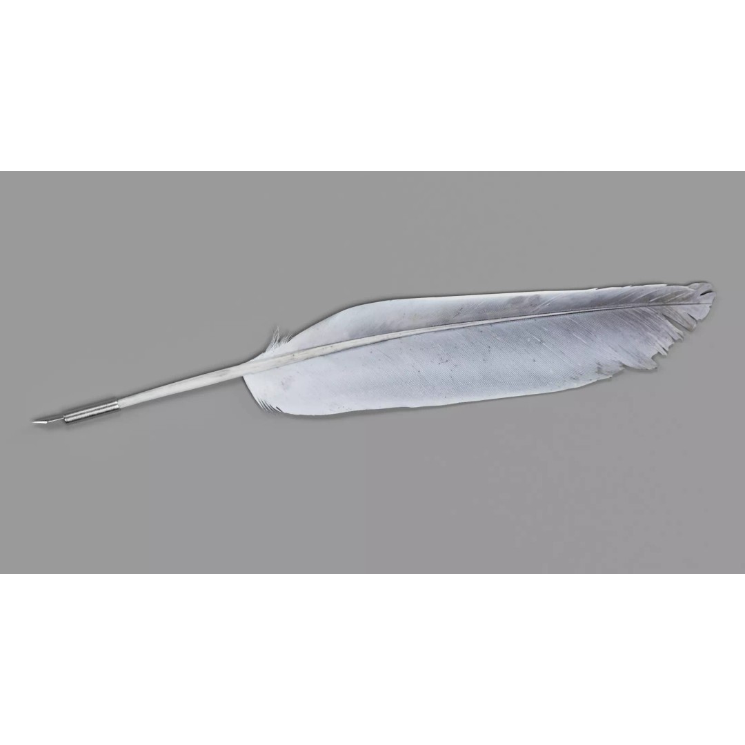 Quill 3D Model – Realistic Feather Ink Pen with PBR Textures - View 4