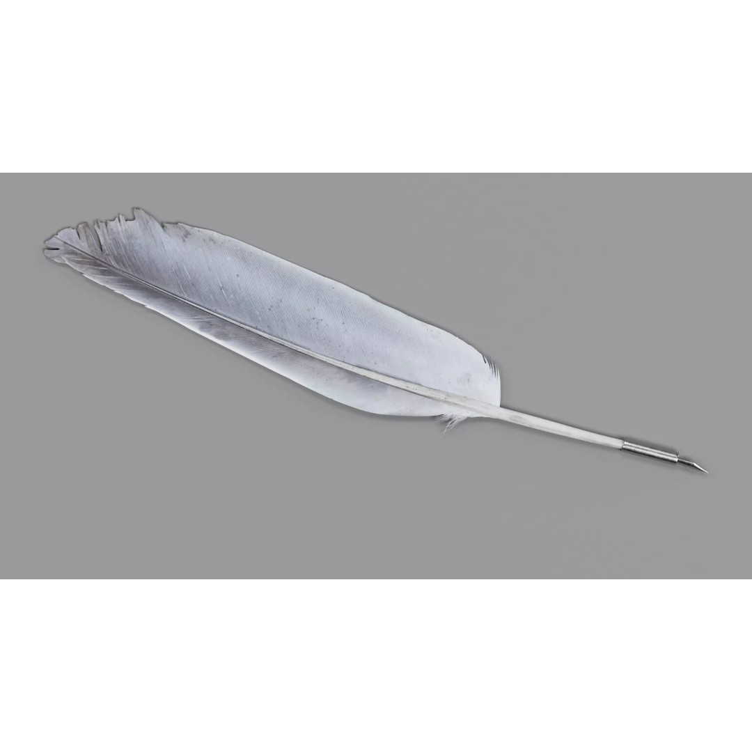 Quill 3D Model – Realistic Feather Ink Pen with PBR Textures - View 5