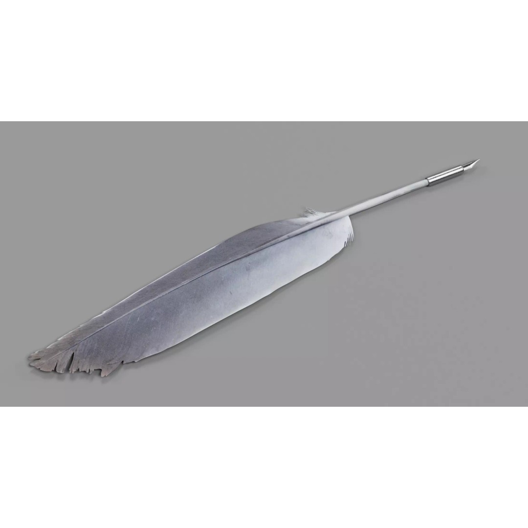 Quill 3D Model – Realistic Feather Ink Pen with PBR Textures - View 7