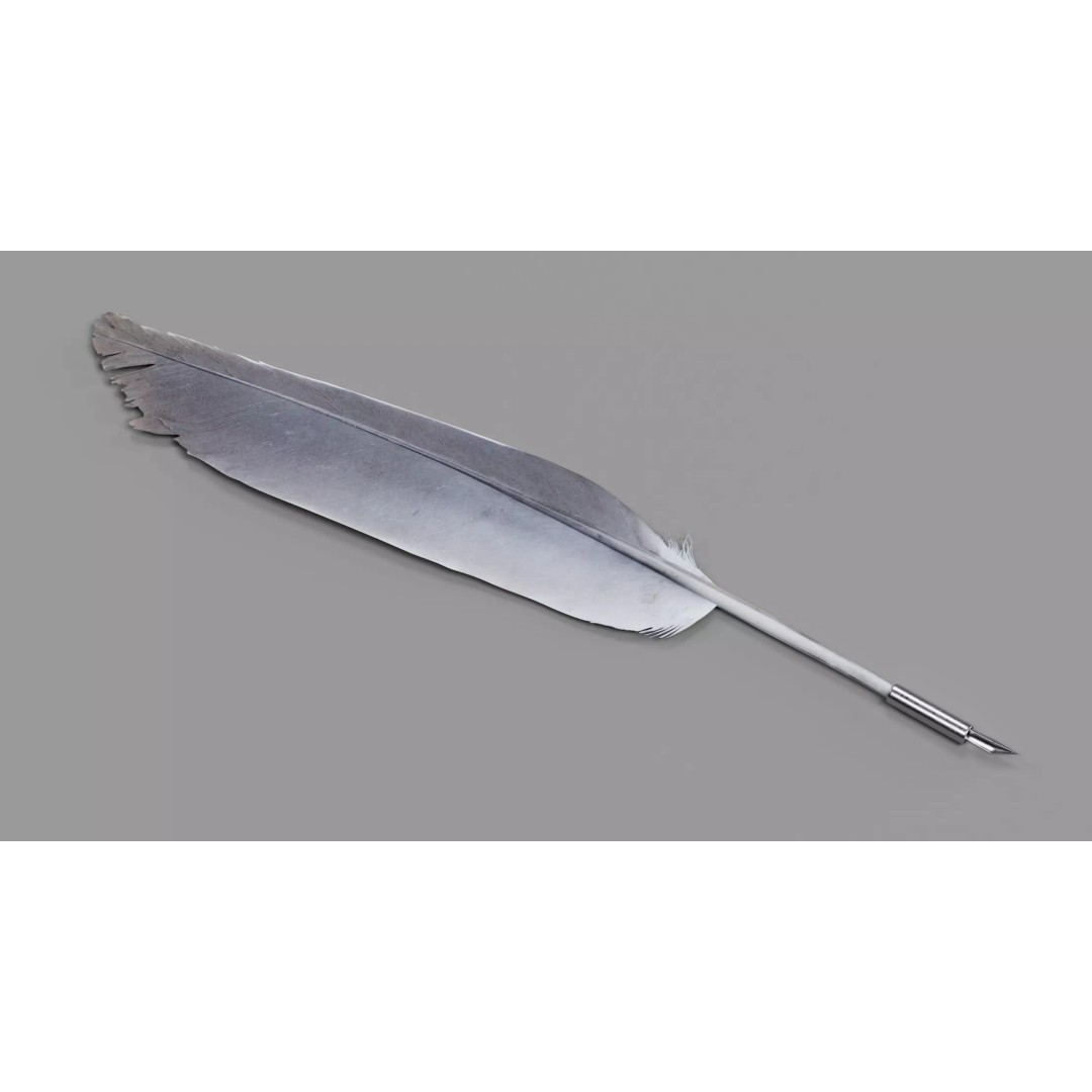 Quill 3D Model – Realistic Feather Ink Pen with PBR Textures - View 8