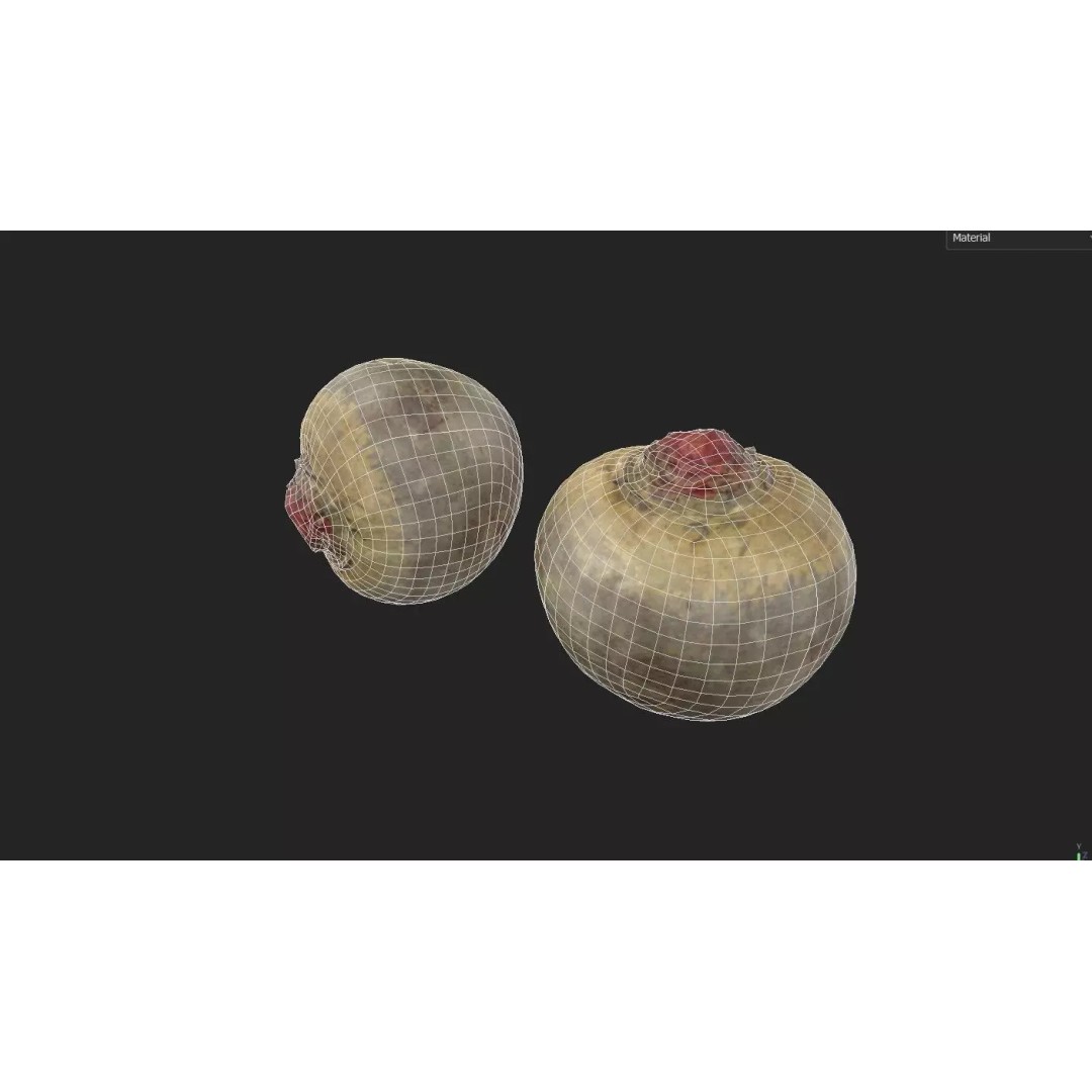 Beetroot 3D Model – Low Poly Game Asset, PBR Textures, FBX