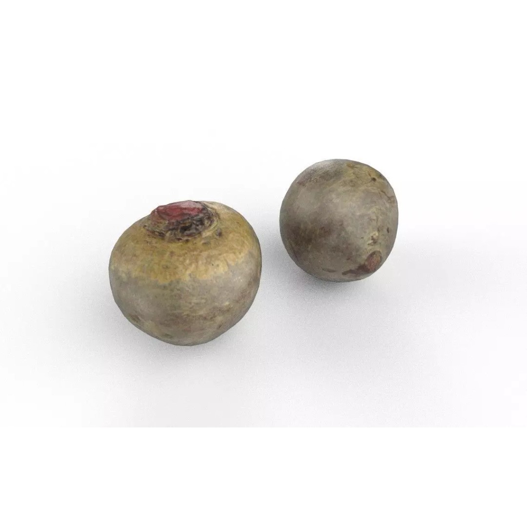 Beetroot 3D Model – Low Poly Game Asset, PBR Textures, FBX - View 2