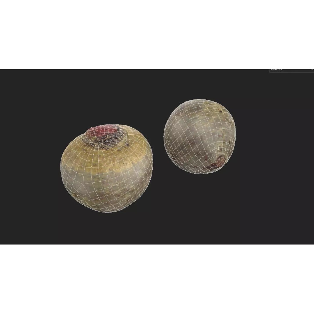 Beetroot 3D Model – Low Poly Game Asset, PBR Textures, FBX - View 3