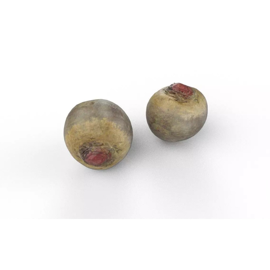 Beetroot 3D Model – Low Poly Game Asset, PBR Textures, FBX - View 6