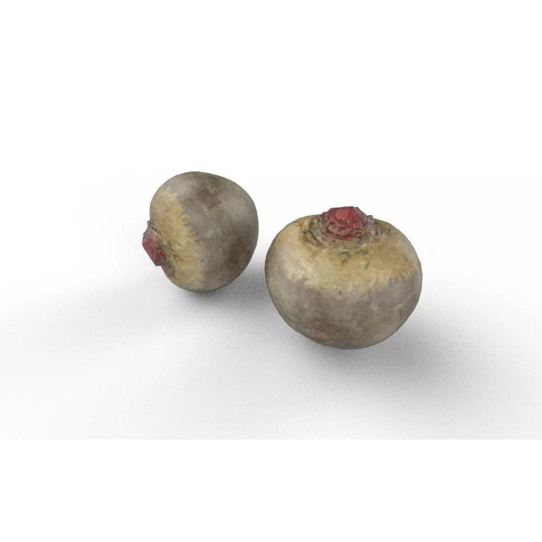 Beetroot 3D Model – Low Poly Game Asset, PBR Textures, FBX - View 7