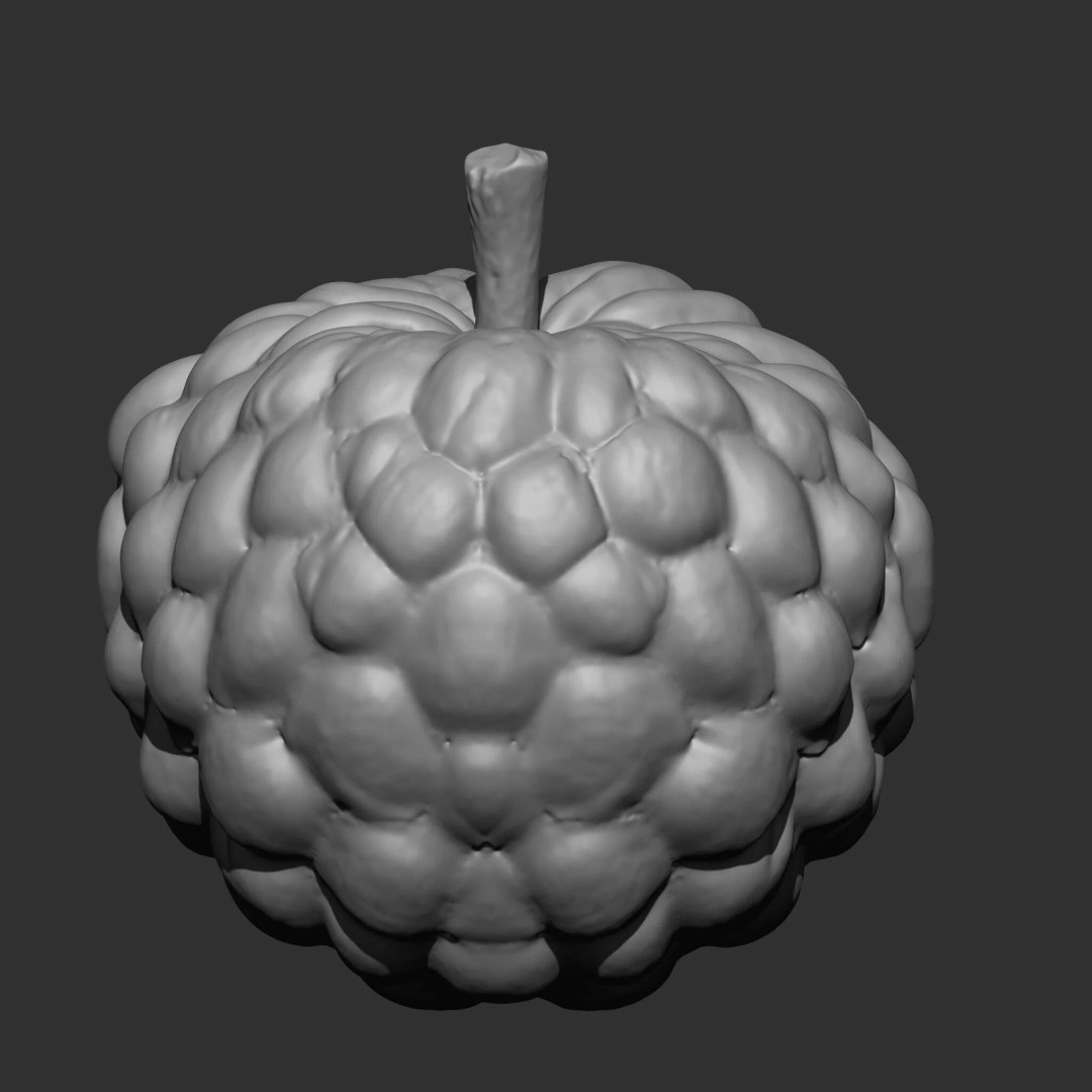 Fruits and Vegetables 3D Model – 17-in-1 Design Brush Pack, OBJ - View 11