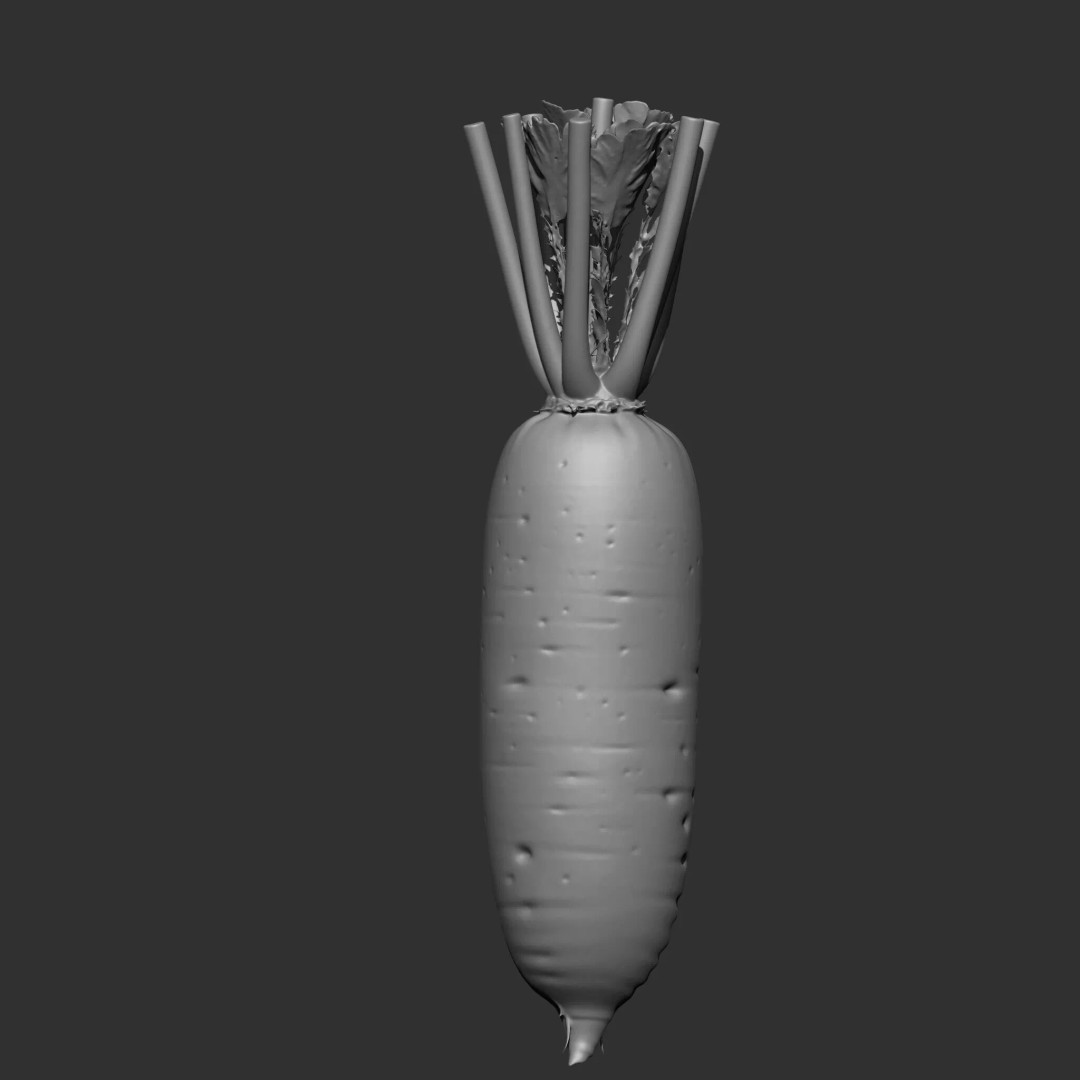 Fruits and Vegetables 3D Model – 17-in-1 Design Brush Pack, OBJ - View 18
