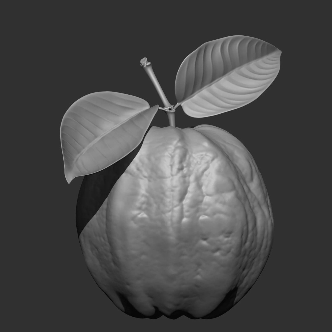 Fruits and Vegetables 3D Model – 17-in-1 Design Brush Pack, OBJ - View 23