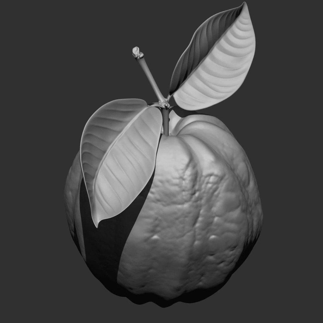 Fruits and Vegetables 3D Model – 17-in-1 Design Brush Pack, OBJ - View 24