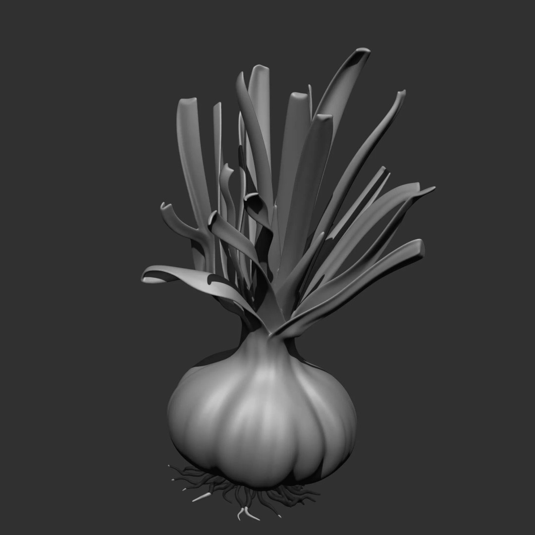 Fruits and Vegetables 3D Model – 17-in-1 Design Brush Pack, OBJ - View 26