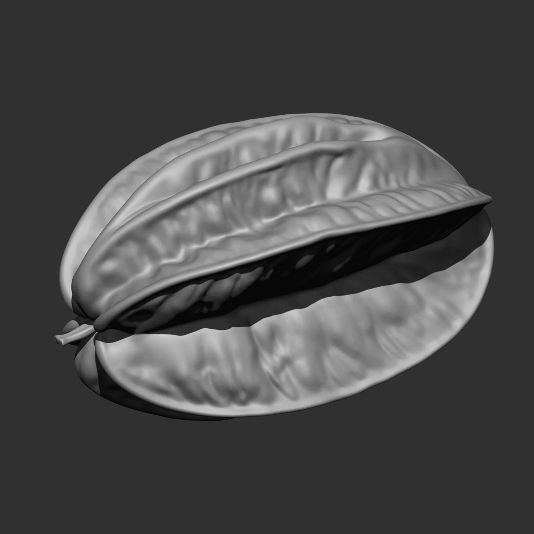 Fruits and Vegetables 3D Model – 17-in-1 Design Brush Pack, OBJ - View 30