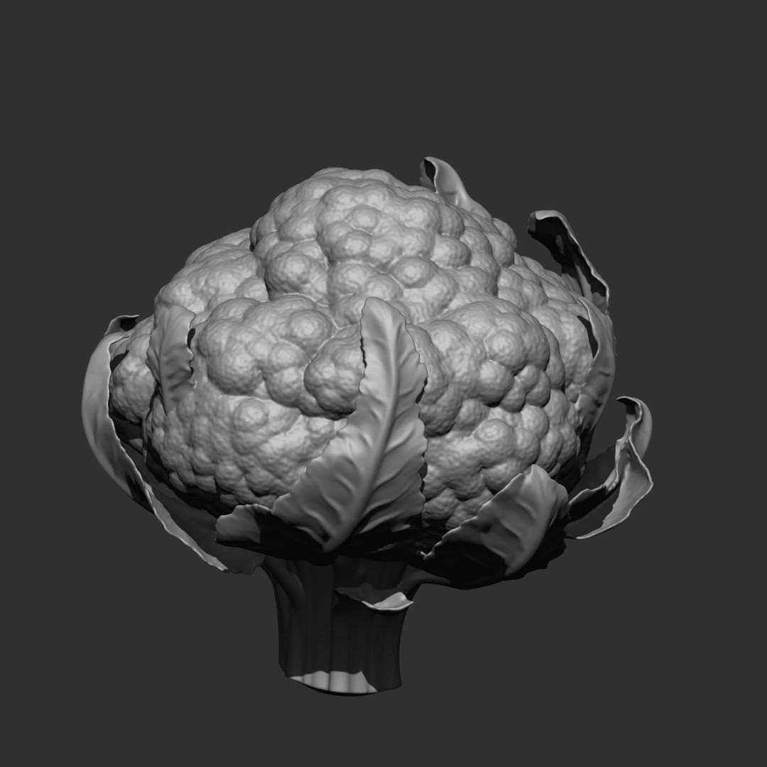Fruits and Vegetables 3D Model – 17-in-1 Design Brush Pack, OBJ - View 5