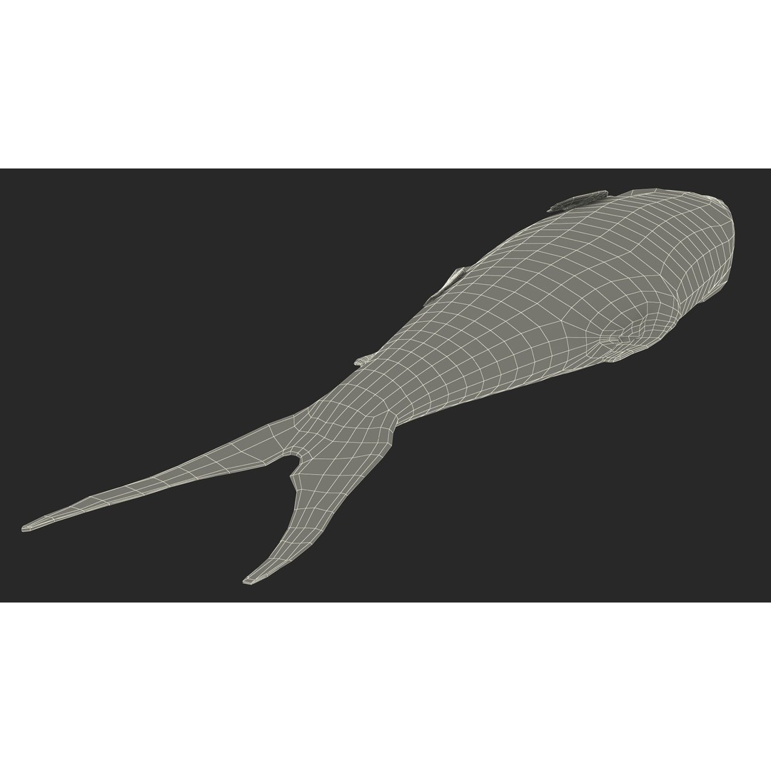 Raw Bangus 3D Model – High Poly PBR Fish Asset, FBX, OBJ