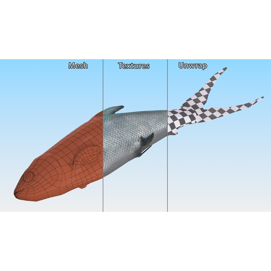 Raw Bangus 3D Model – High Poly PBR Fish Asset, FBX, OBJ - View 13