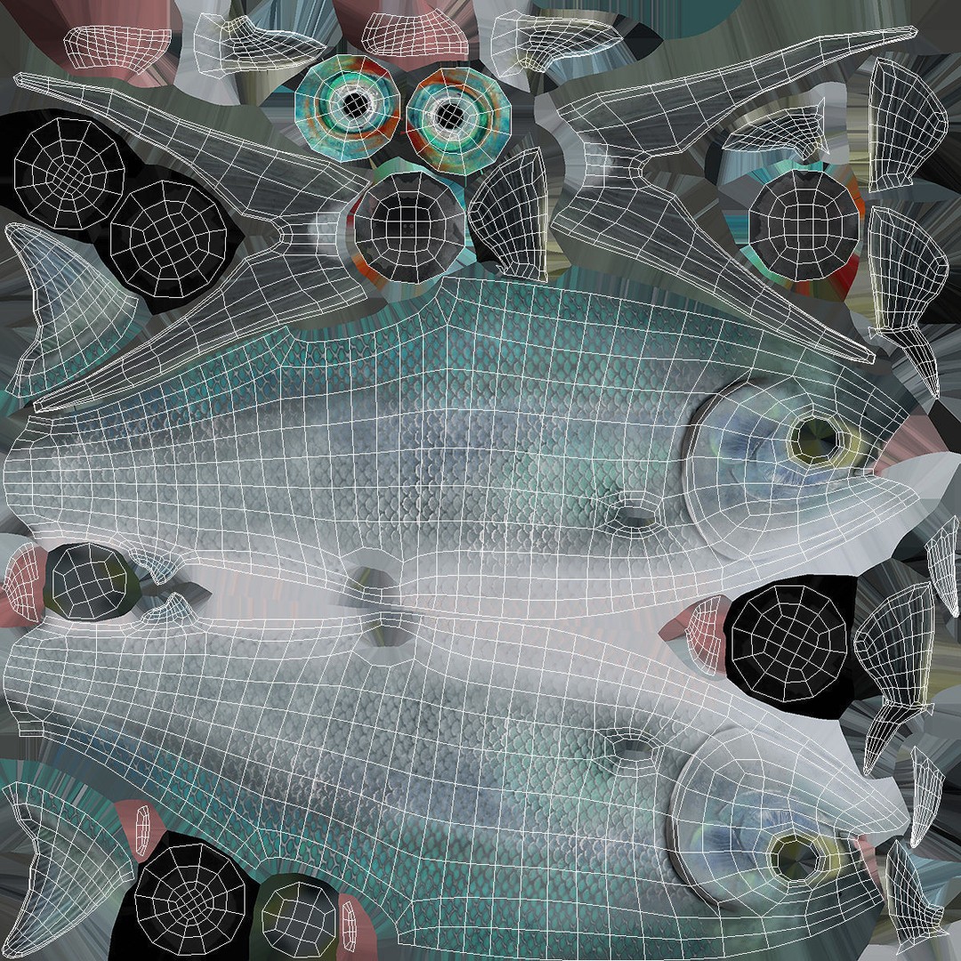 Raw Bangus 3D Model – High Poly PBR Fish Asset, FBX, OBJ - View 16