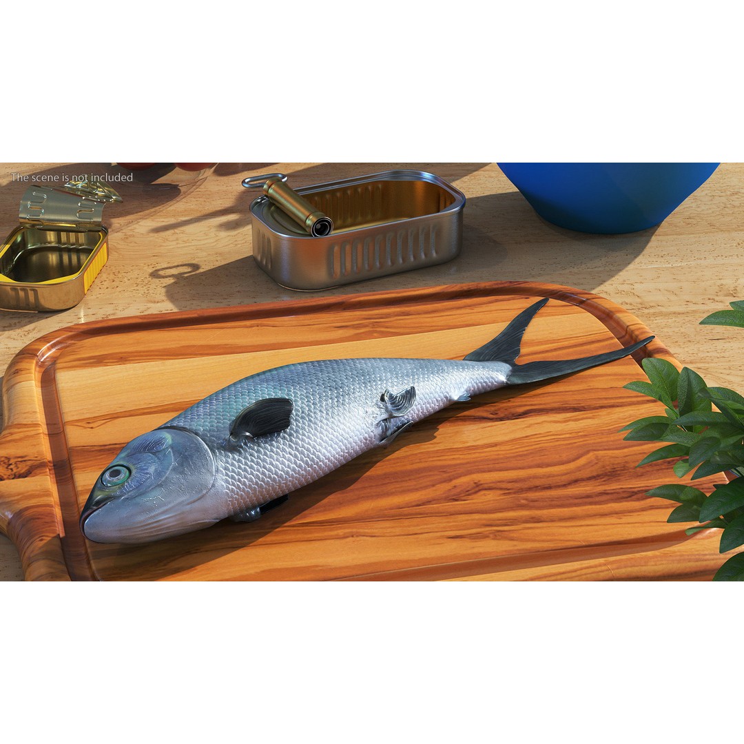 Raw Bangus 3D Model – High Poly PBR Fish Asset, FBX, OBJ - View 2