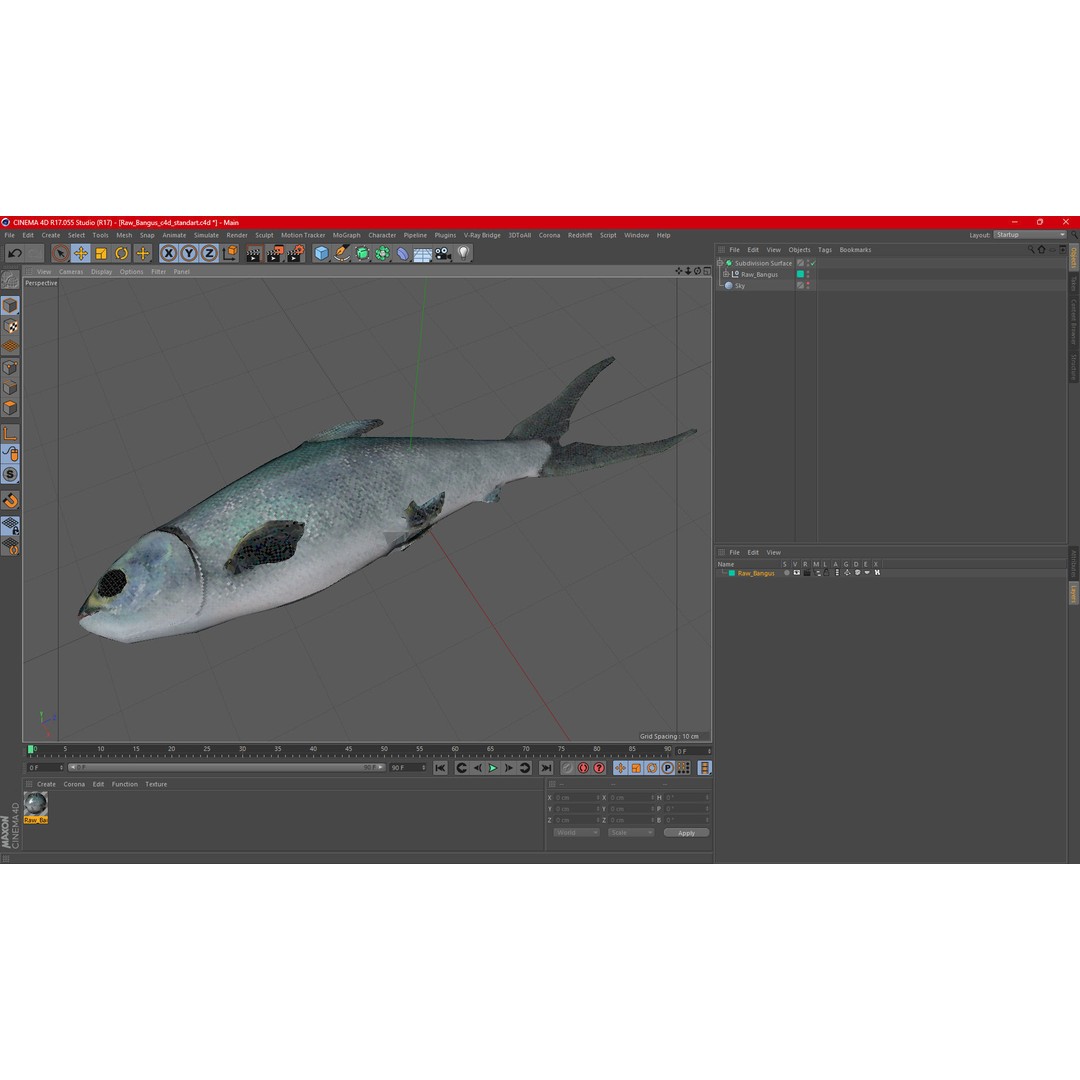 Raw Bangus 3D Model – High Poly PBR Fish Asset, FBX, OBJ - View 20