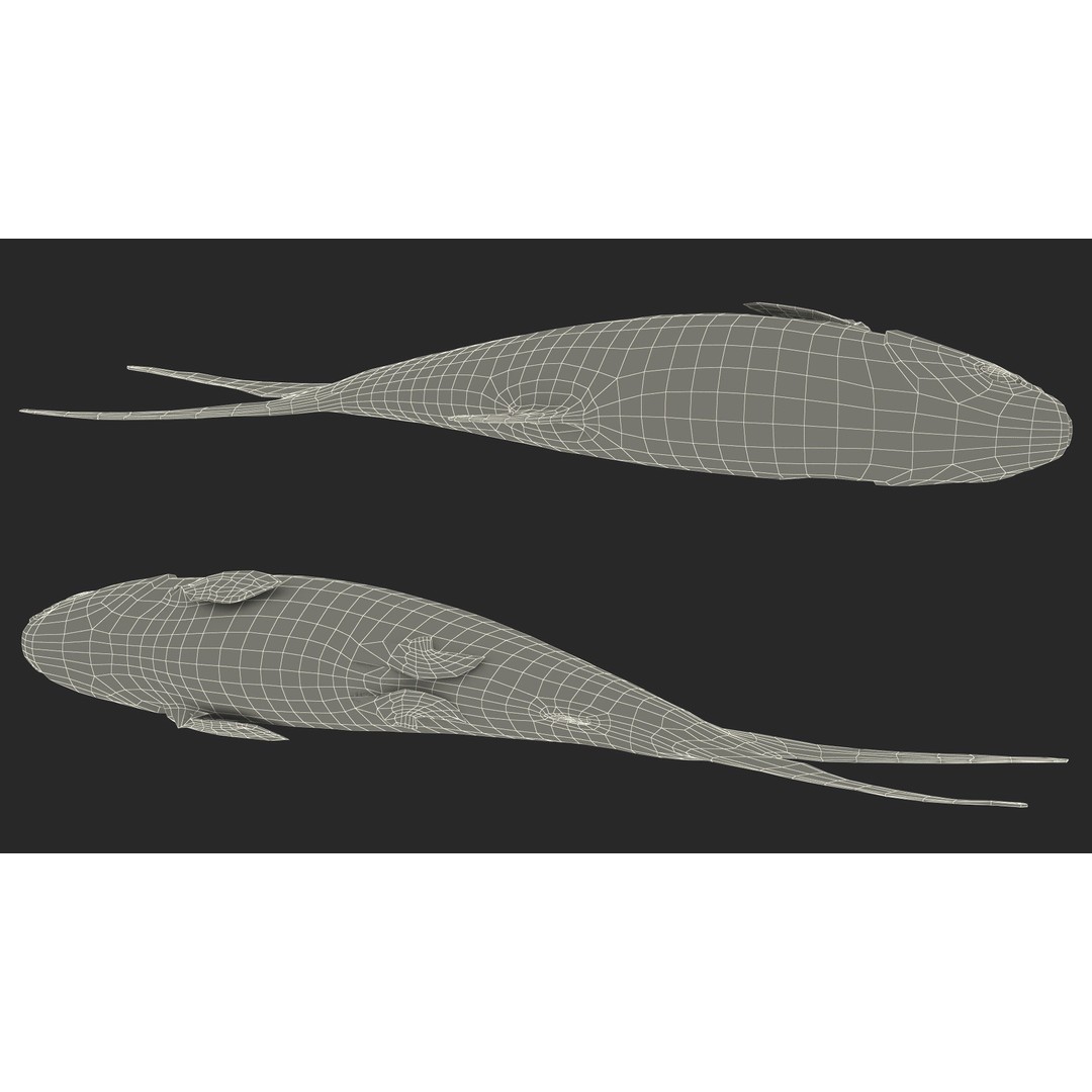Raw Bangus 3D Model – High Poly PBR Fish Asset, FBX, OBJ - View 23