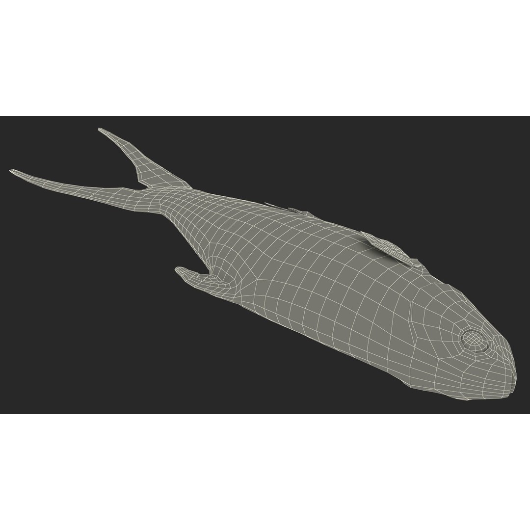 Raw Bangus 3D Model – High Poly PBR Fish Asset, FBX, OBJ - View 24