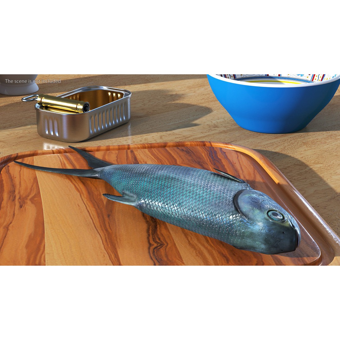 Raw Bangus 3D Model – High Poly PBR Fish Asset, FBX, OBJ - View 3