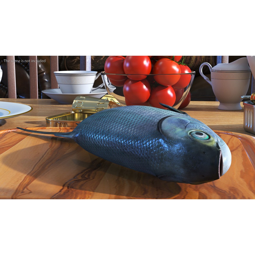 Raw Bangus 3D Model – High Poly PBR Fish Asset, FBX, OBJ - View 5