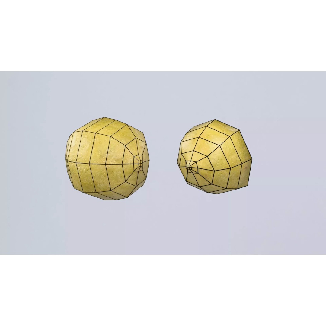 Lemon 3D Model – Photorealistic PBR Low Poly Asset, FBX, OBJ - View 9