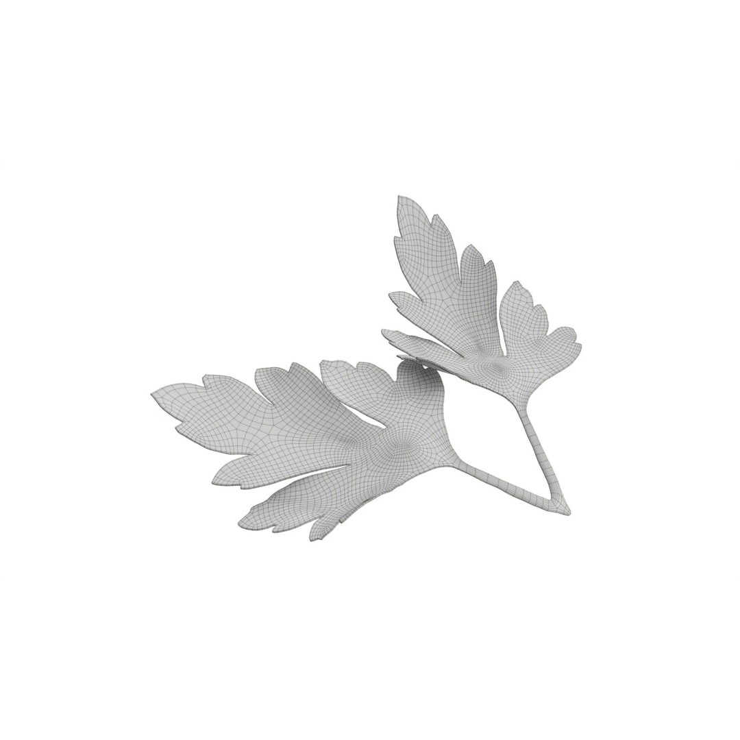 Raw Parsley Leaves 3D Model – PBR Textured Game Asset, FBX - View 9