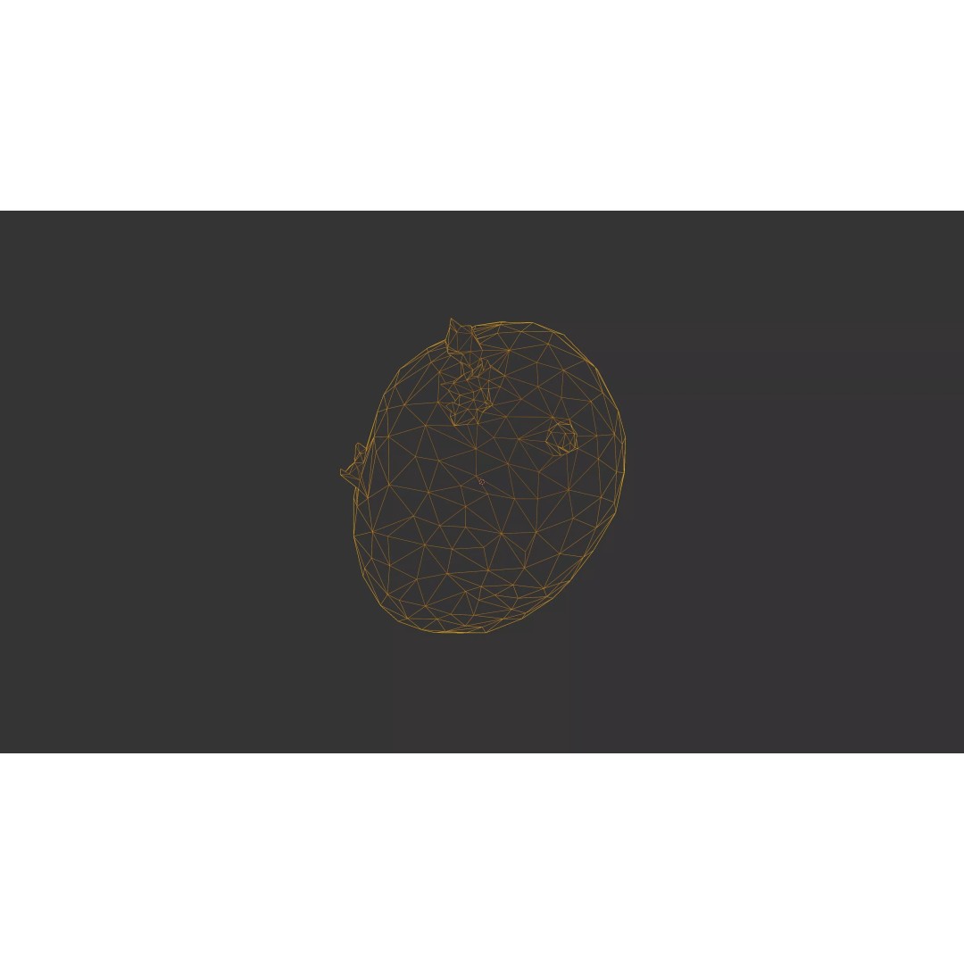 Sprouted Potato 3D Model – Low Poly Photogrammetry Game Asset, FBX