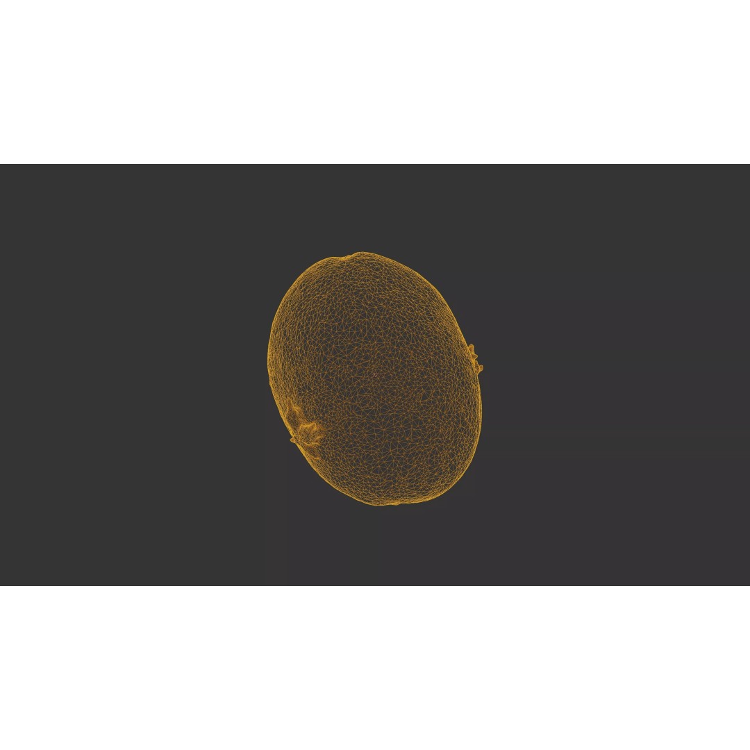 Sprouted Potato 3D Model – Low Poly Photogrammetry Game Asset, FBX - View 24