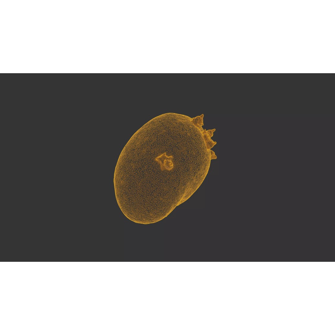 Sprouted Potato 3D Model – Low Poly Photogrammetry Game Asset, FBX - View 25