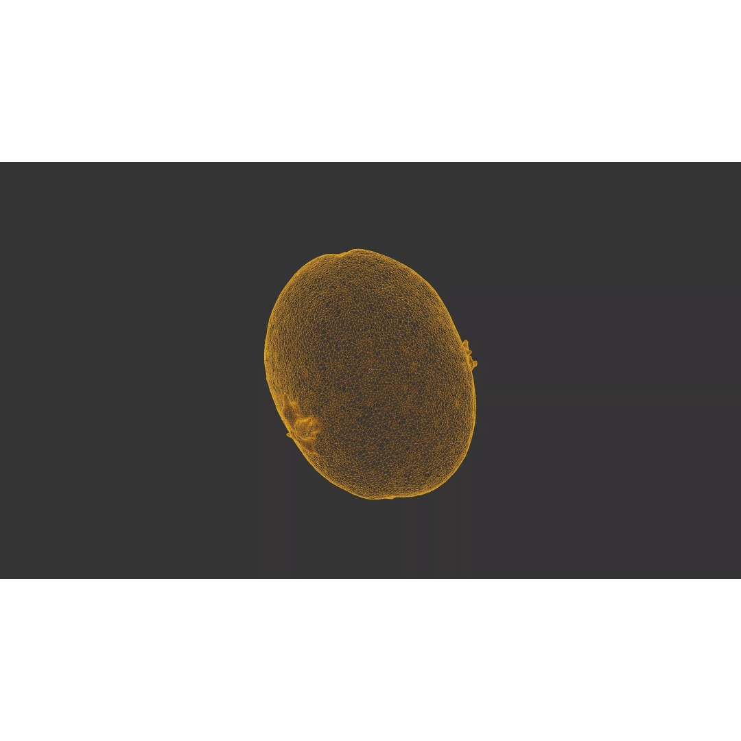 Sprouted Potato 3D Model – Low Poly Photogrammetry Game Asset, FBX - View 27
