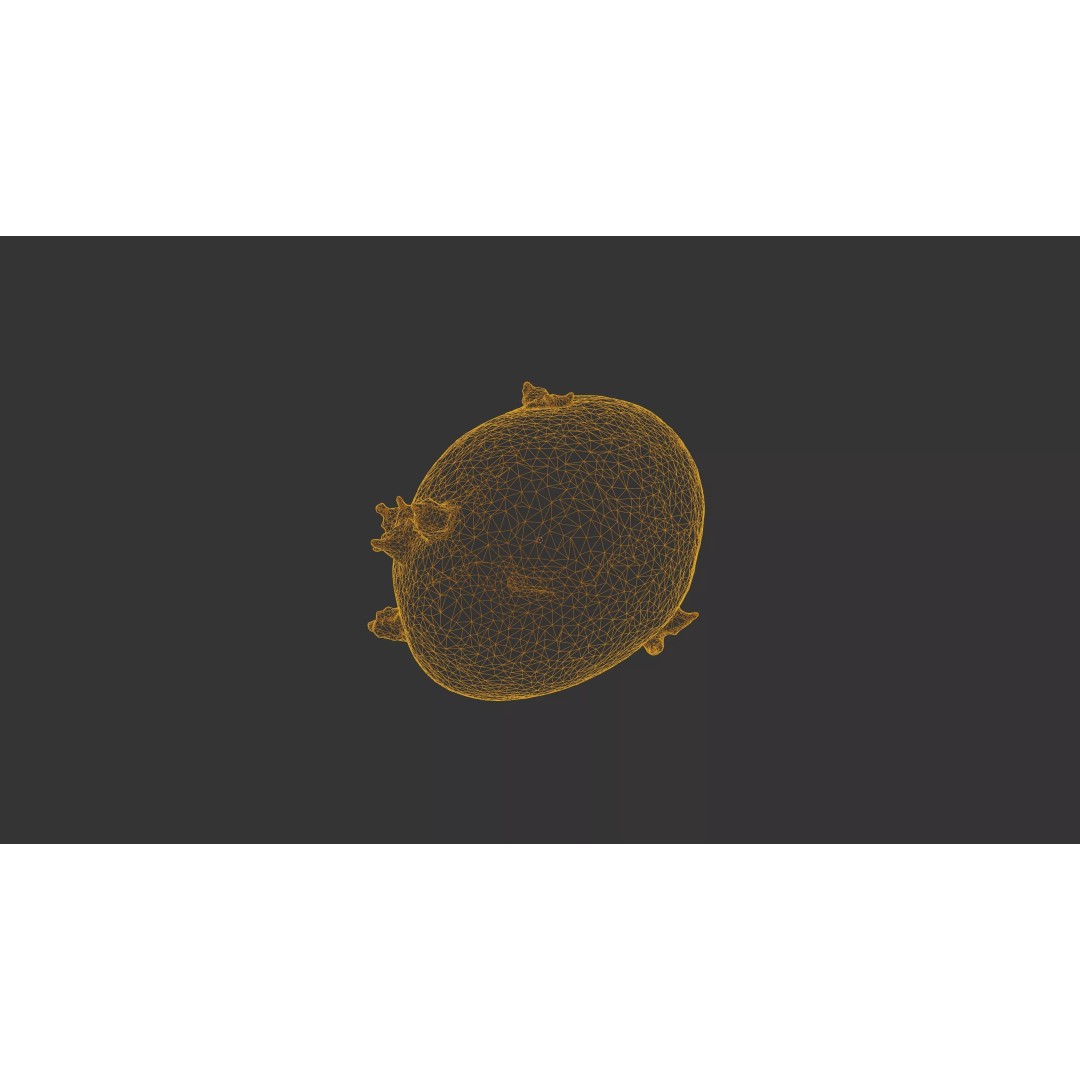 Sprouted Potato 3D Model – Low Poly Photogrammetry Game Asset, FBX - View 28