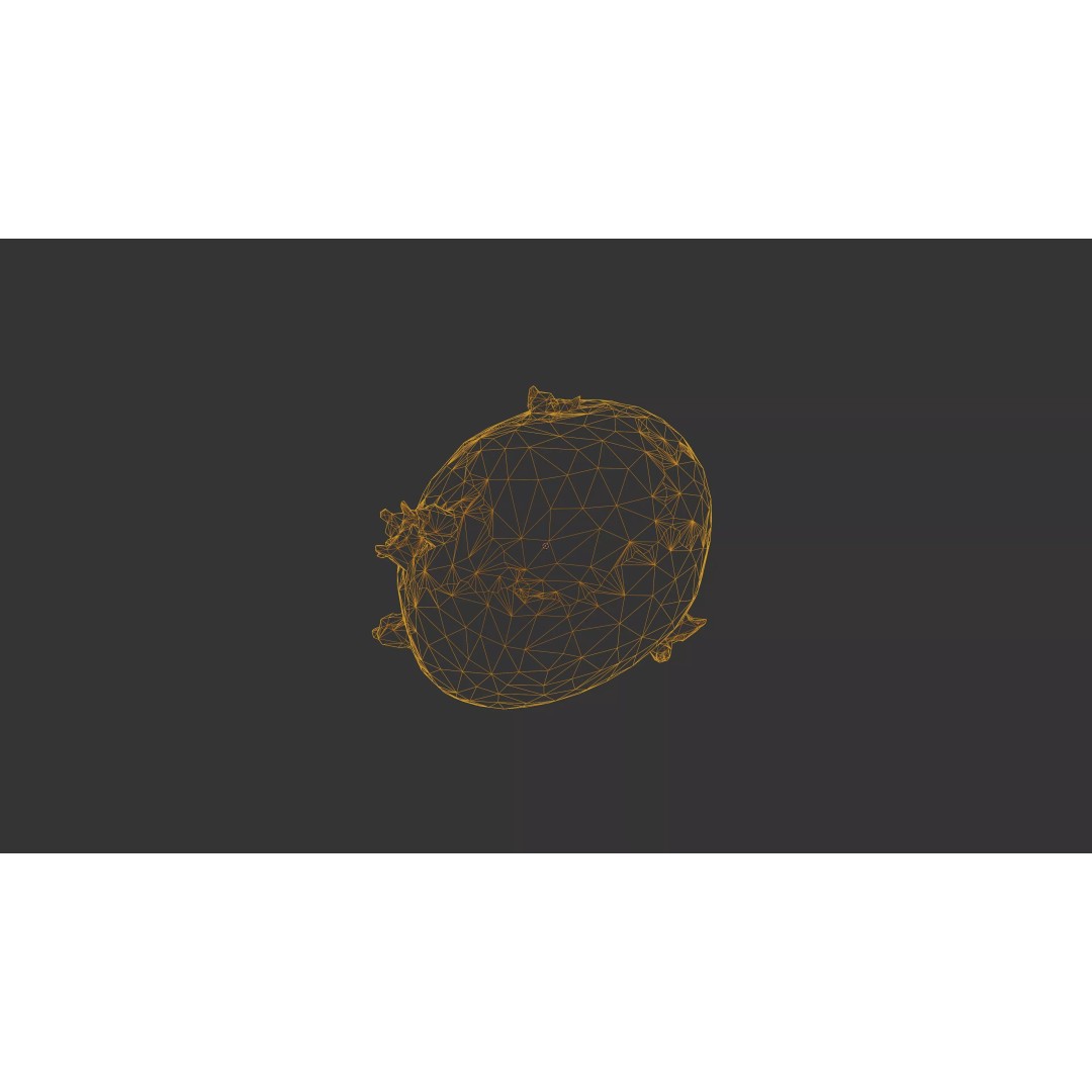 Sprouted Potato 3D Model – Low Poly Photogrammetry Game Asset, FBX - View 29