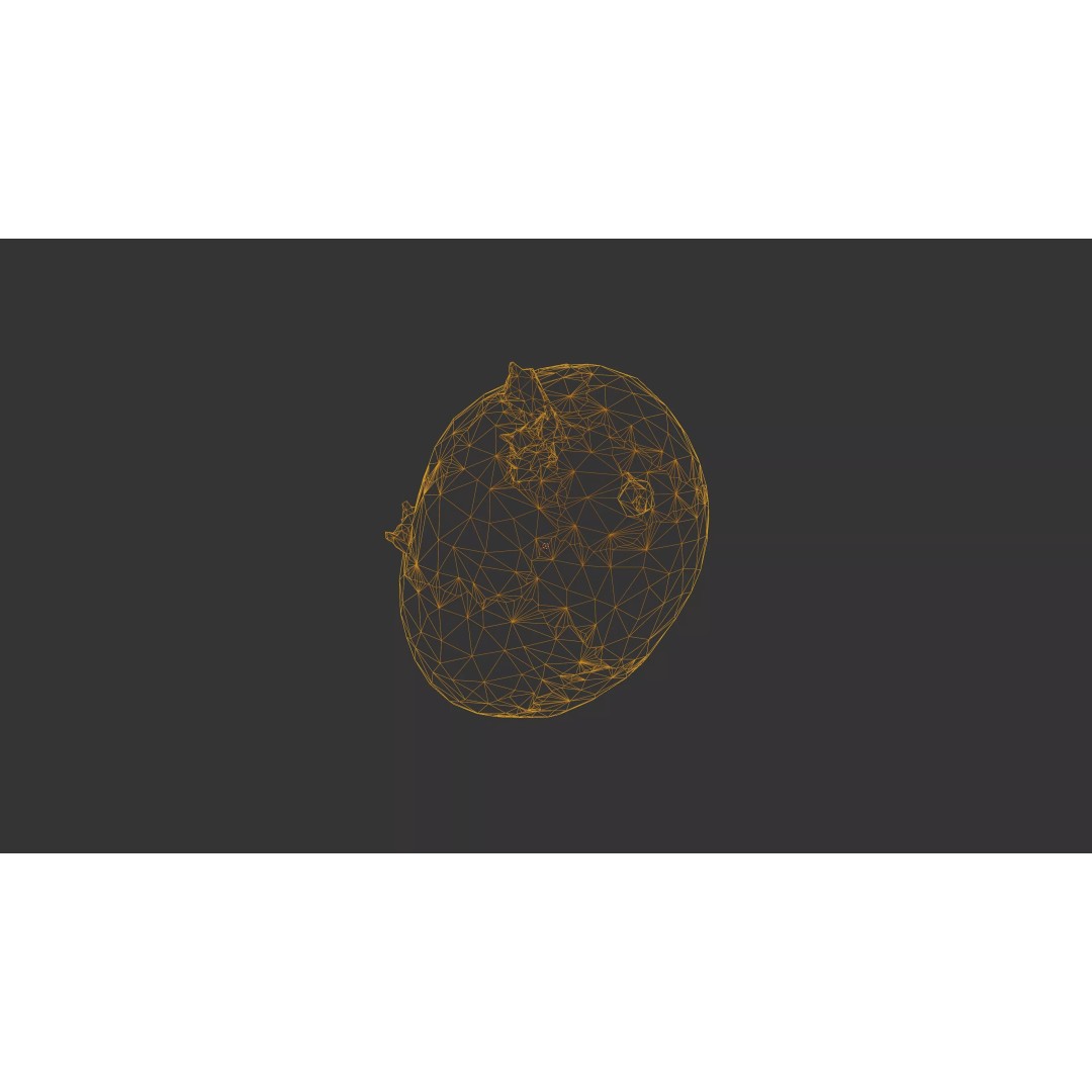 Sprouted Potato 3D Model – Low Poly Photogrammetry Game Asset, FBX - View 30
