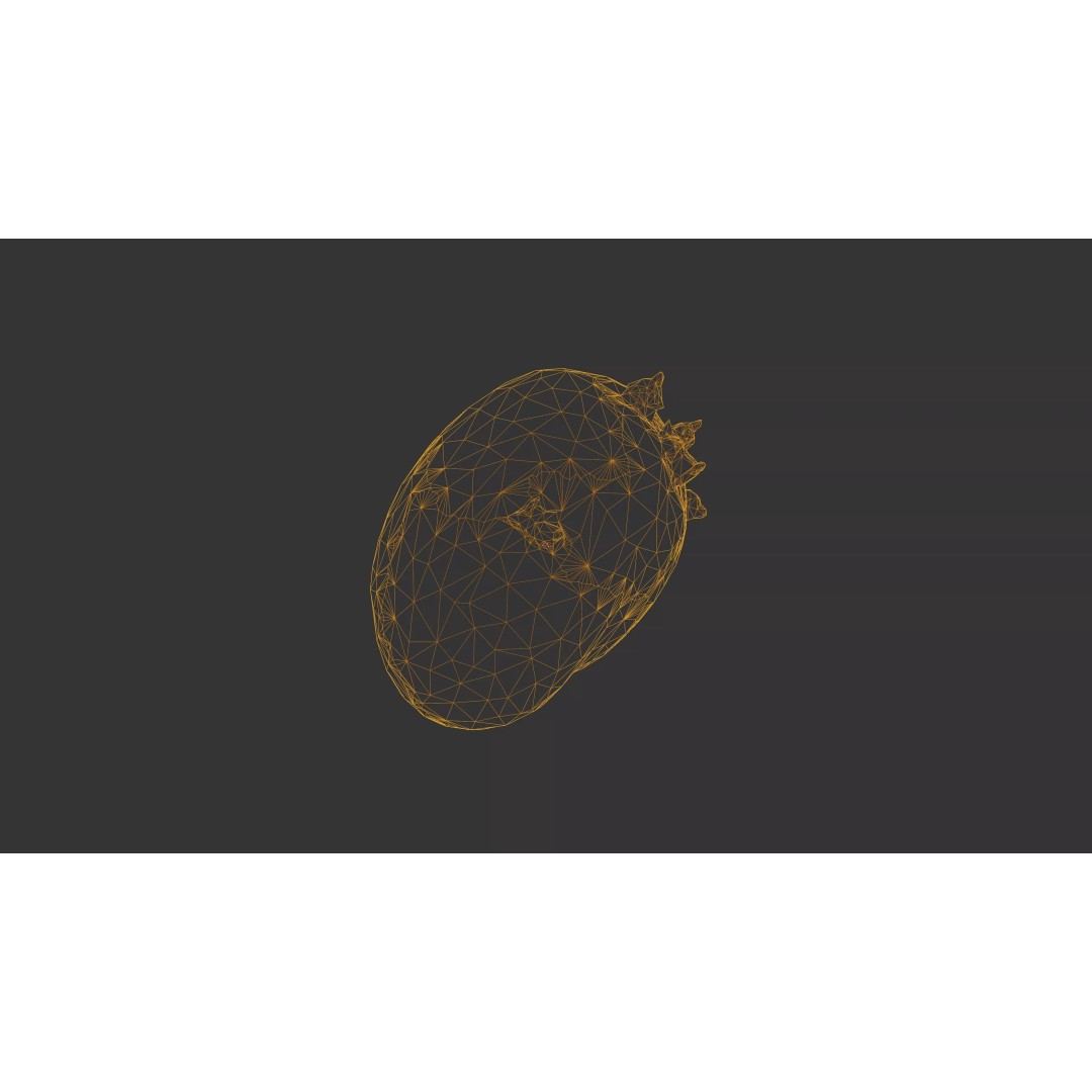 Sprouted Potato 3D Model – Low Poly Photogrammetry Game Asset, FBX - View 31