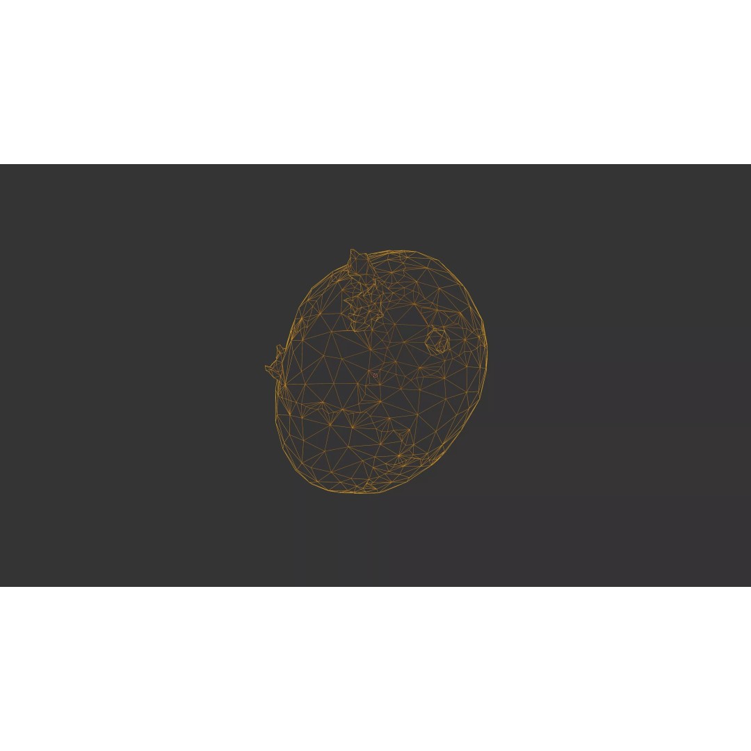 Sprouted Potato 3D Model – Low Poly Photogrammetry Game Asset, FBX - View 32