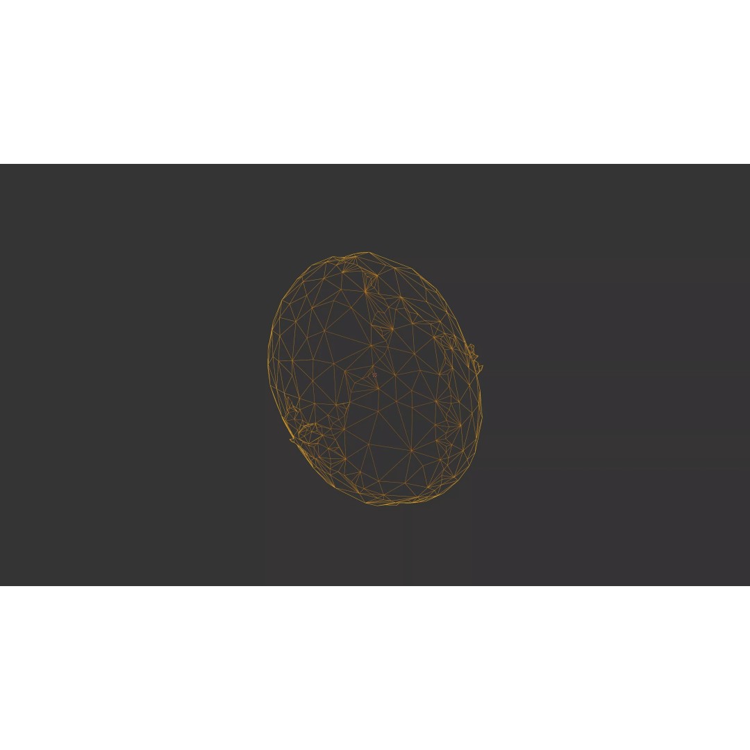 Sprouted Potato 3D Model – Low Poly Photogrammetry Game Asset, FBX - View 33