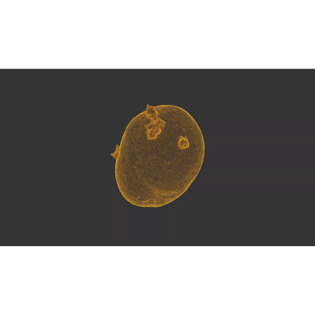 Sprouted Potato 3D Model – Low Poly Photogrammetry Game Asset, FBX - View 35