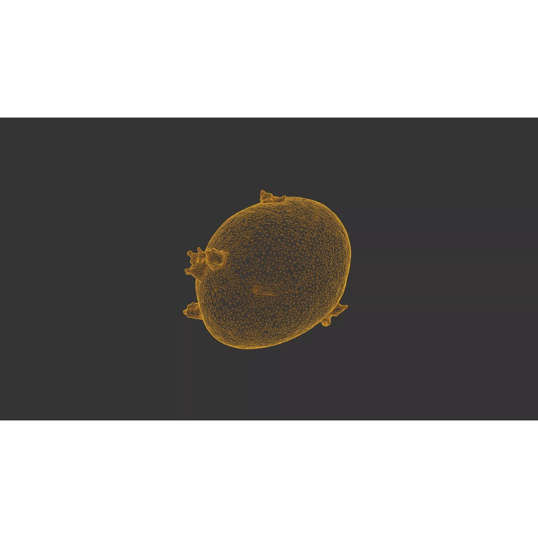 Sprouted Potato 3D Model – Low Poly Photogrammetry Game Asset, FBX - View 36