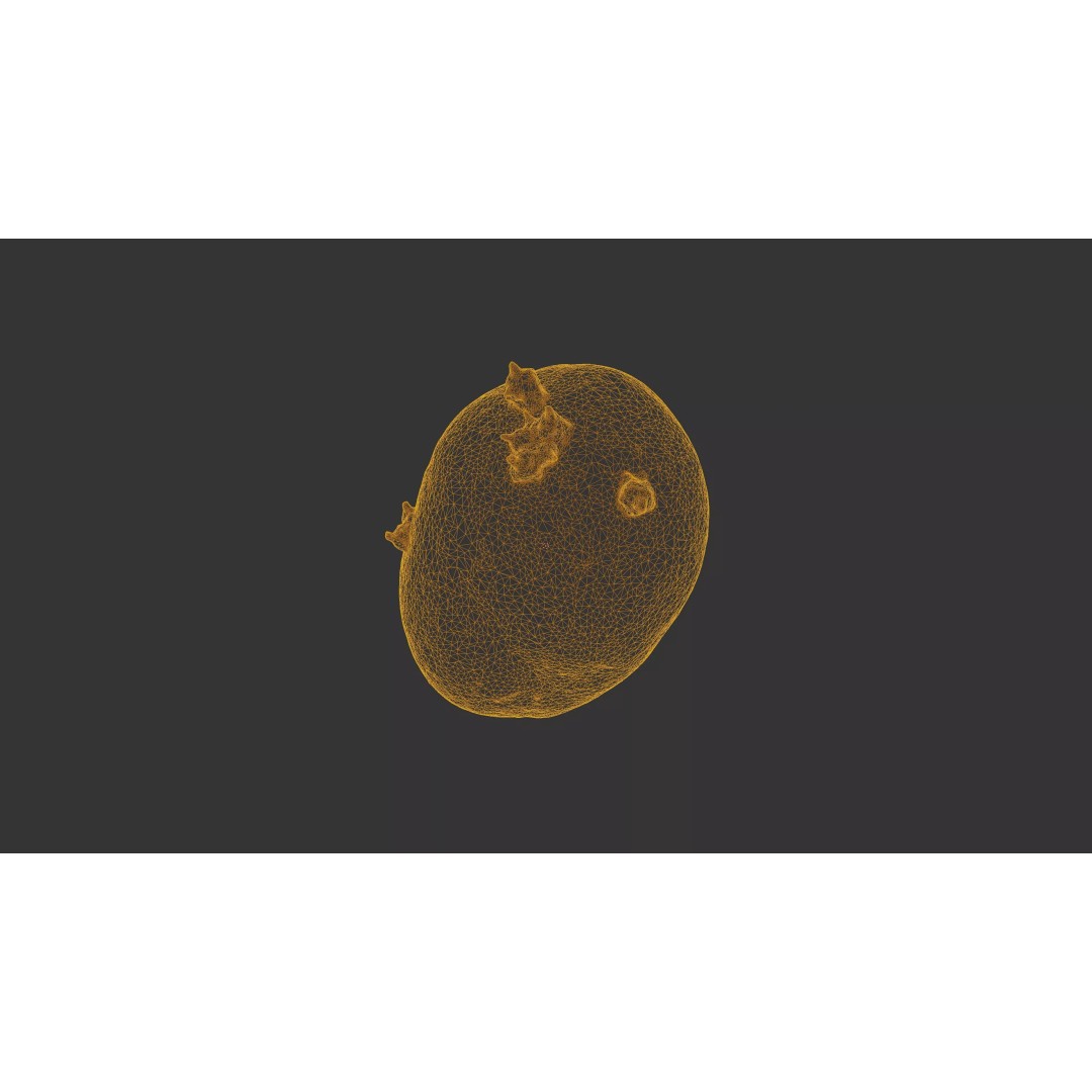 Sprouted Potato 3D Model – Low Poly Photogrammetry Game Asset, FBX - View 37
