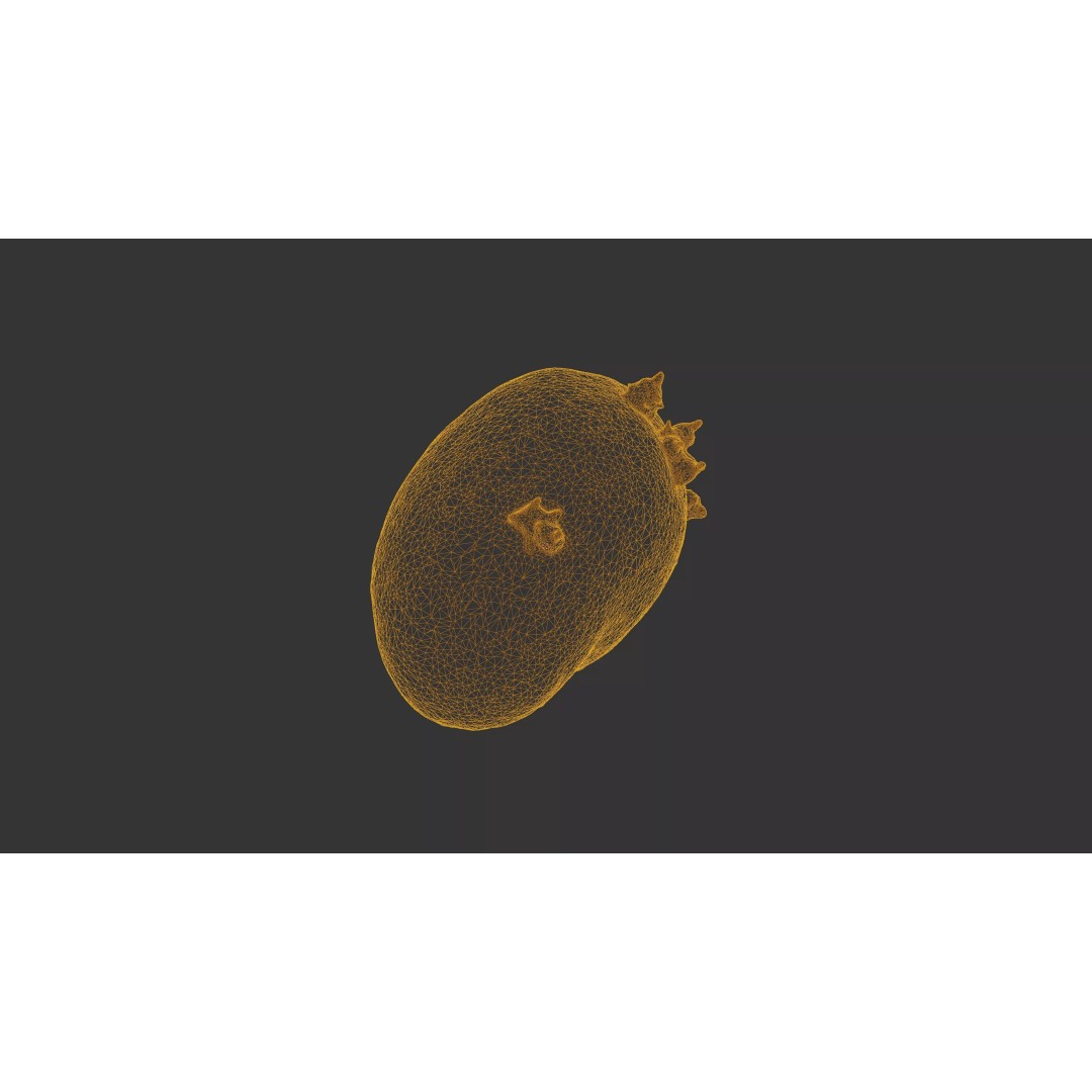 Sprouted Potato 3D Model – Low Poly Photogrammetry Game Asset, FBX - View 38