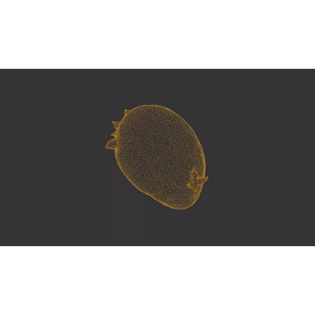 Sprouted Potato 3D Model – Low Poly Photogrammetry Game Asset, FBX - View 39