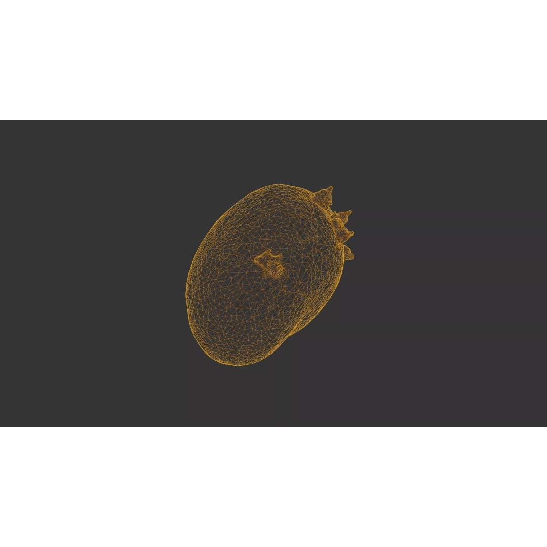 Sprouted Potato 3D Model – Low Poly Photogrammetry Game Asset, FBX - View 40