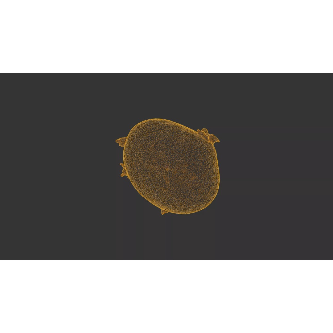 Sprouted Potato 3D Model – Low Poly Photogrammetry Game Asset, FBX - View 41