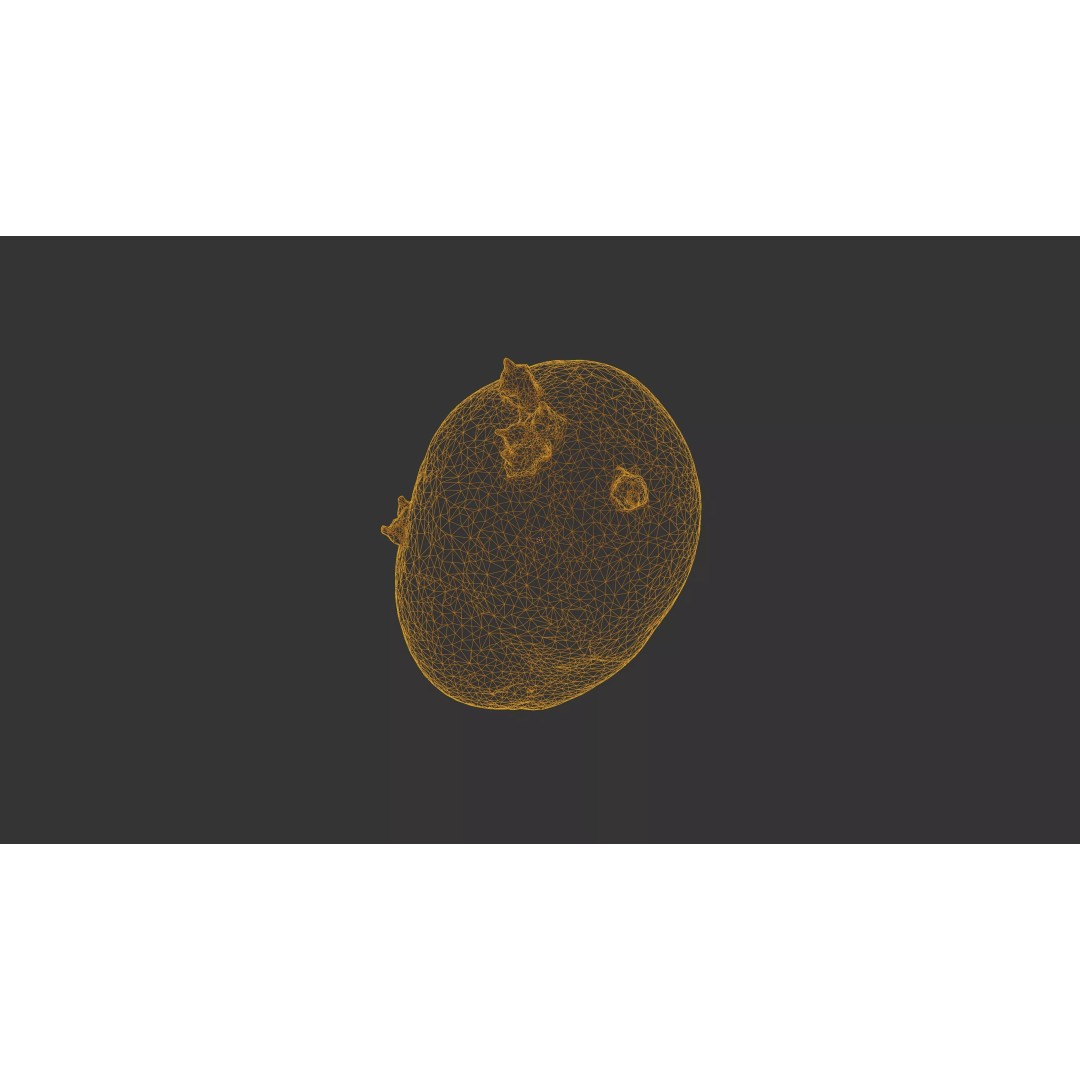 Sprouted Potato 3D Model – Low Poly Photogrammetry Game Asset, FBX - View 42