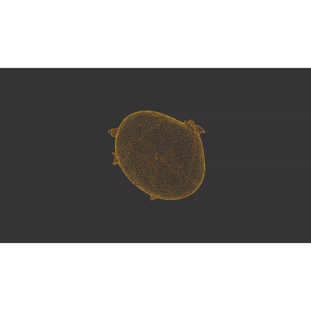 Sprouted Potato 3D Model – Low Poly Photogrammetry Game Asset, FBX - View 43