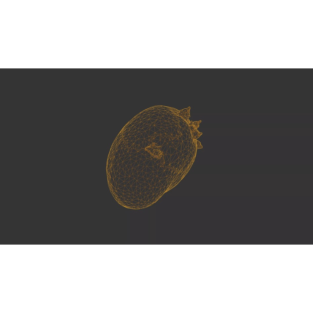Sprouted Potato 3D Model – Low Poly Photogrammetry Game Asset, FBX - View 44