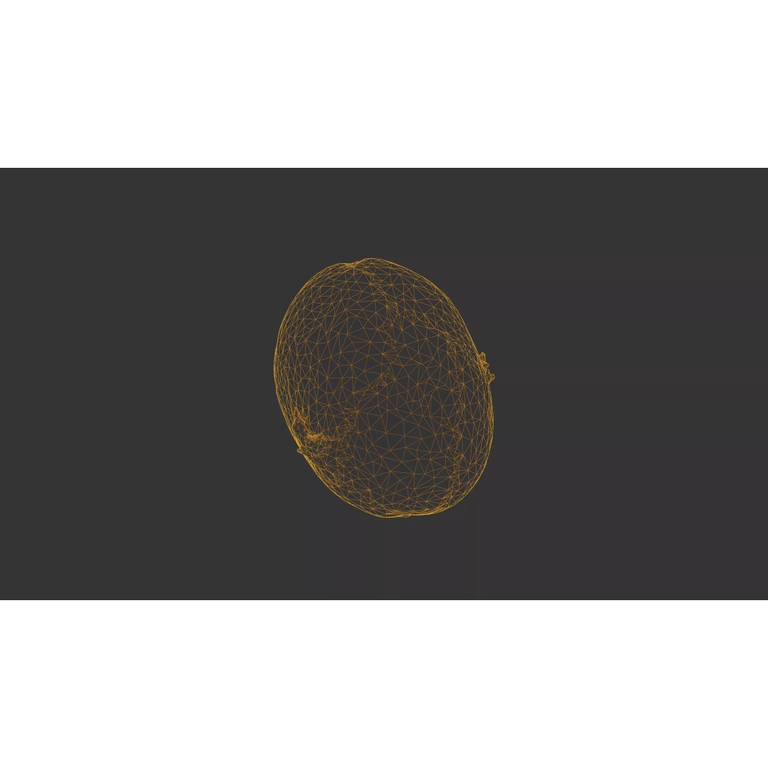 Sprouted Potato 3D Model – Low Poly Photogrammetry Game Asset, FBX - View 45